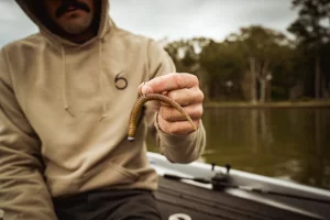 6th Sense Masterclass Dome Neko Weight (Varios Pesos a Elegir)