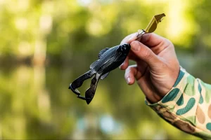 6th Sense BuzzGill 4.0 4″ 6pz (Varios Colores a Elegir)