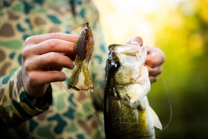 6th Sense BuzzGill 4.0 4″ 6pz (Varios Colores a Elegir)