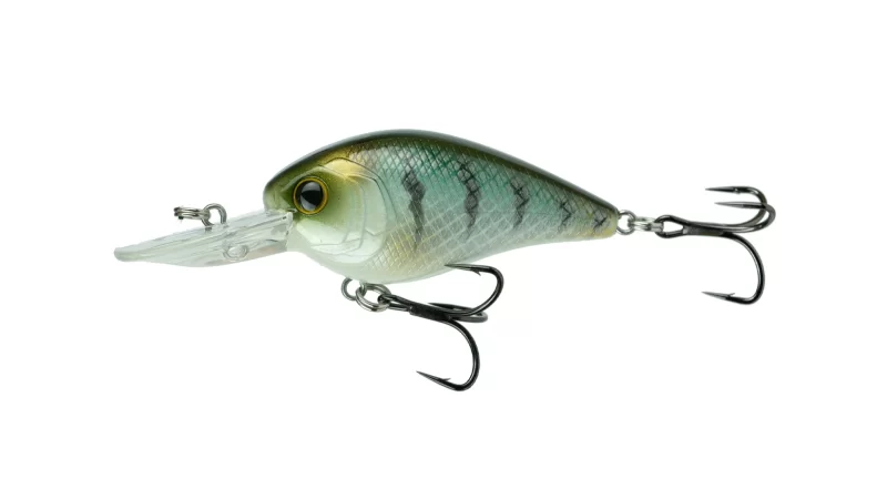 6th Sense Crush Mini 25MD (Varios Colores a Elegir)