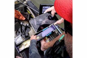 Ketch ID (identificador para regla)