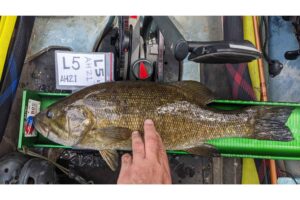 Ketch ID (identificador para regla)