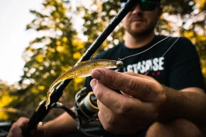 6th Sense Masterclass Tungsten Ball Jig Head (Varios Pesos y Colores a Elegir)