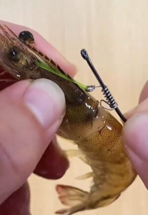 Oxigen Live Live Shrimp Holder Hook Puppet Shrimp