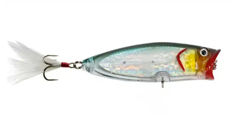Bassmooch Poppa Chewy Topwater Killa 3/4 oz 3.4" (Varios Colores a Elegir)