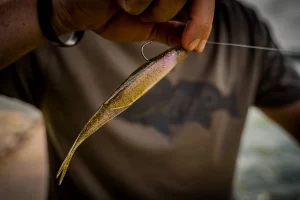 6th Sense Shindo 6.0 Saltwater 6″ 6pz (Varios Colores a Elegir)