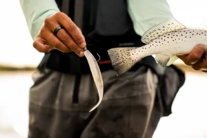 6th Sense Shindo 6.0 Saltwater 6″ 6pz (Varios Colores a Elegir)