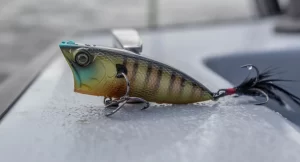 6th Sense SplashBack Popper 70mm (Varios Colores a Elegir)