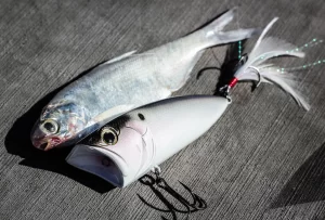 6th Sense SplashBack Popper 70mm (Varios Colores a Elegir)