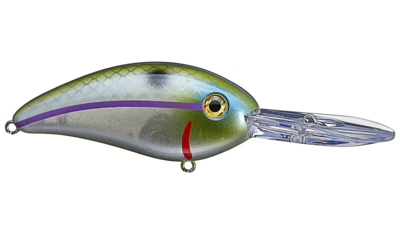 Bomber Fat Free Shad Jr 6 BMBD6F