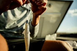 6th Sense Whale Swimbait 6.0 6″ 3pz (Varios Colores a Elegir)