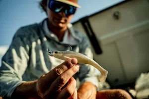 6th Sense Whale Swimbait 6.0 6″ 3pz (Varios Colores a Elegir)